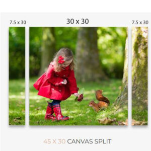 45 X 30 CANVAS SPLIT