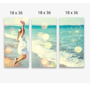 54 X 36 CANVAS SPLIT